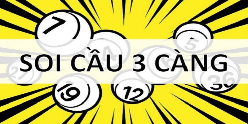 lo-3-cang-soi-cau