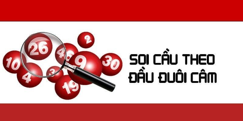 Soi lô kép câm có đầu và đuôi câm