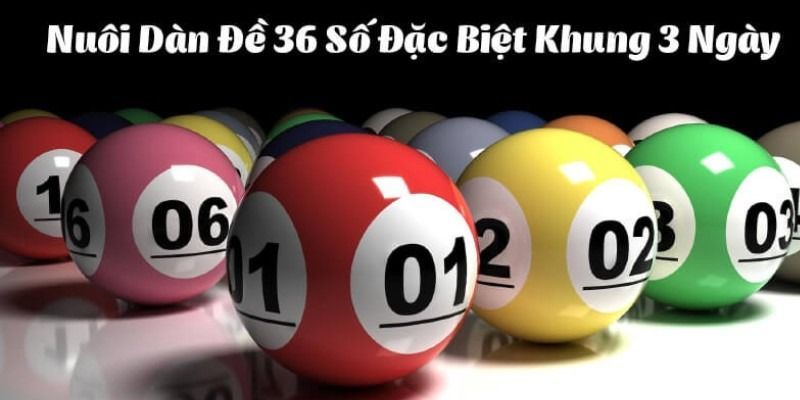 Bí quyết nuôi dàn đề 36 số khung 3 ngày